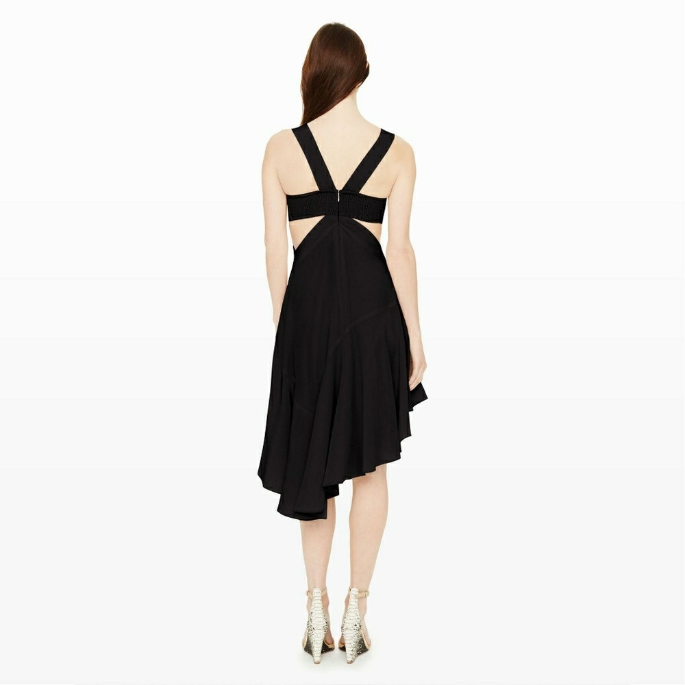 Club Monaco SIlk Dress